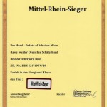 Mittel-Rhein Sieger