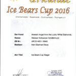 Ice Bear Cup 2016 Akeelah